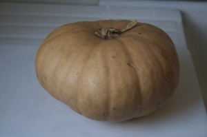 Cheese Pumpkins are so-called because their flat shape reminded farmers of a wheel of cheddar.