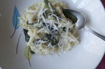 spring asparagus with risotto