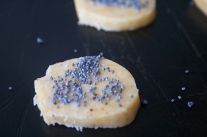 Take a pinch of poppy seeds and roll them over the wafer.
