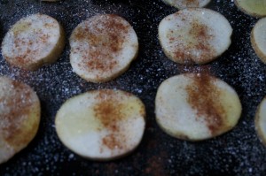 Sprinkle potato slices with salt, garlic powder and paprika.