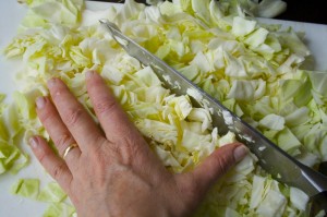 Chop cabbage roughly.