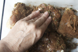 rubbing-jerk-spices