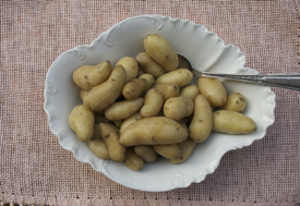 bowl-potatoes-cropped-275