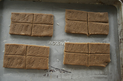 raw-crackers-on-sheet