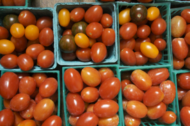 cherry-tomatoes