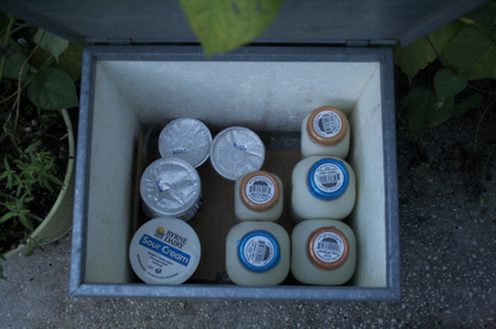 milk-box-450