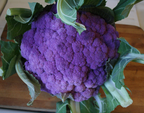 cauliflower-head