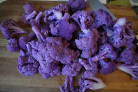 chopped-cauliflower