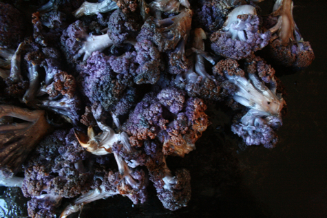 roasted-cauliflower-475