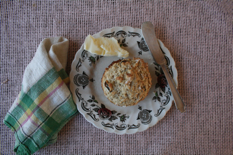 oat-bran-muffin-on-plate