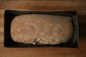 baked-loaf