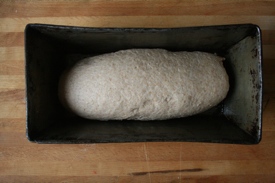 dough-in-pan