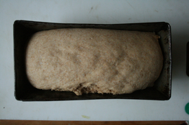 risen-loaf