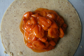 apricots-on-dough