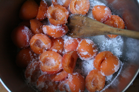 sugared-apricots