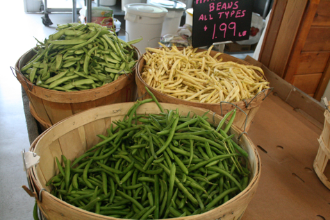 green-bean-bushels