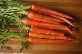 carrotstops