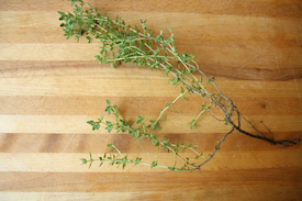 thyme