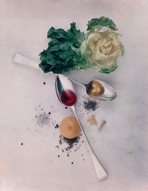 Irving_Penn_Salad_Ingredients_1947_700