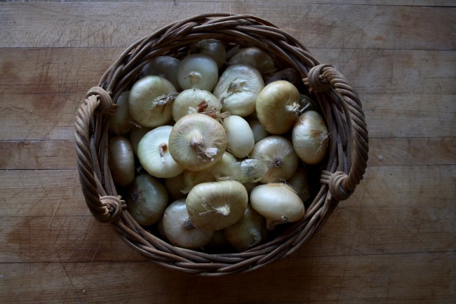 Onions_basket_II