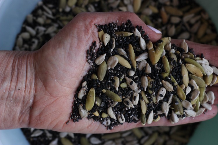 Seeds_in_Hand