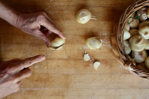 Trim_onions_II